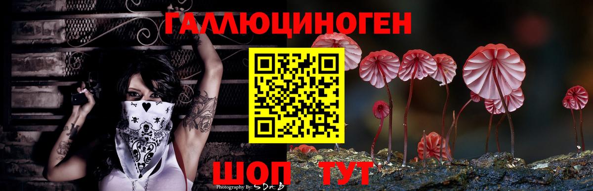 Псилоцибиновые грибы Psilocybine cubensis  Галлюциногенные грибы Magic Shrooms  Саки  Вход с VPN 